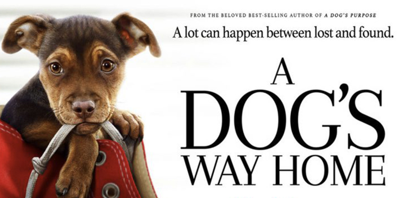A Dog's Way Home - This film depicts a canine embarking on a highly implausible two-year/400-mile adventure to reconnect with the person who rescued him from the streets. So if you’re in the mood for a wholesome family movie, you've got to watch this. 